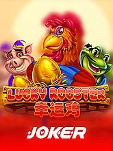 lucky-rooster