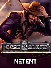 dead-or-alive-2