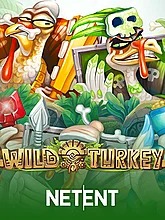 wild-turkey