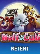 wolf-cub