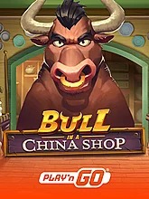 bull-in-a-china-shop