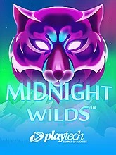 midnight-wilds