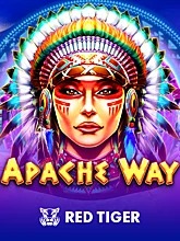 apache-way