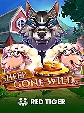 sheep-gone-wild