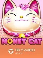 da-mao-zhao-cai-money-cat