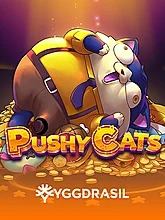 pushy-cats